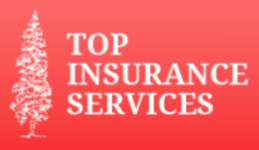 Top Insurance Services  
